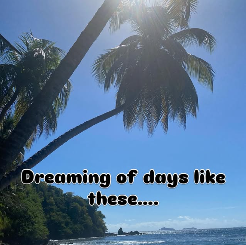Dreaming of days like these....