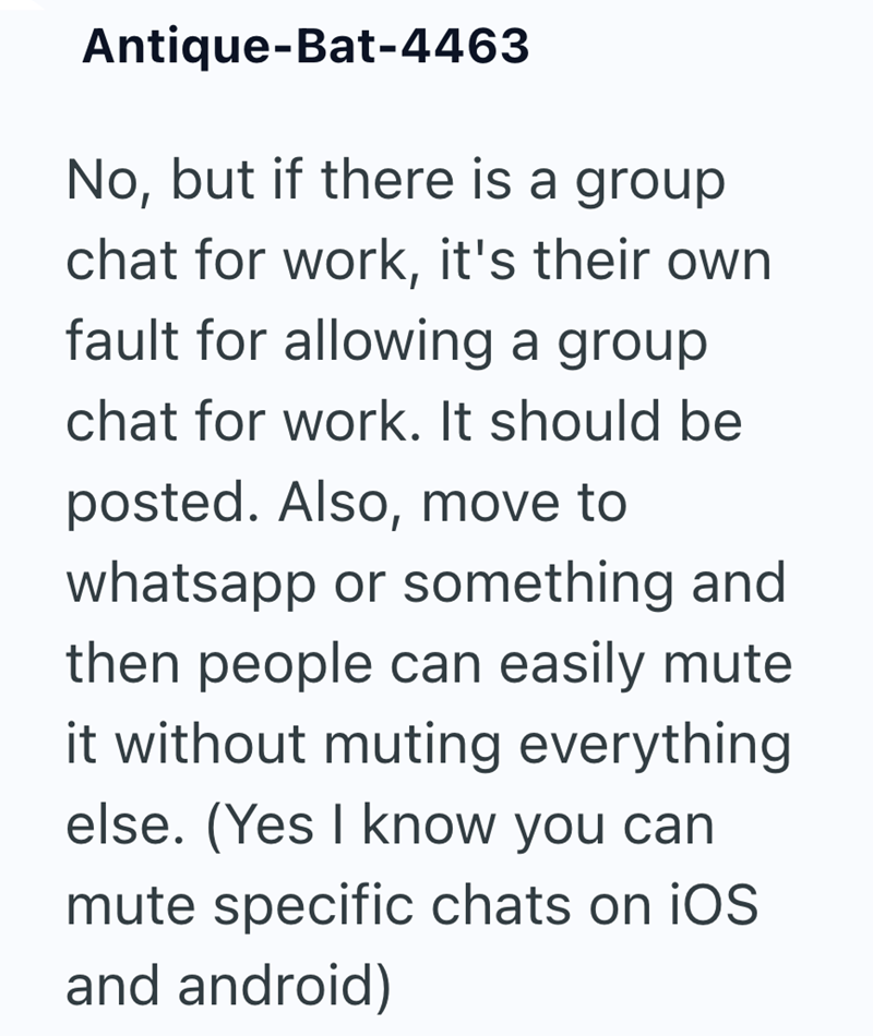 Antique-Bat-4463 No, but if there is a group chat for work, it's their own fault for allowing a group chat for work. It should be posted. Also, move to whatsapp or something and then people can easily mute it without muting everything else. (Yes I know you can mute specific chats on iOS. and android)