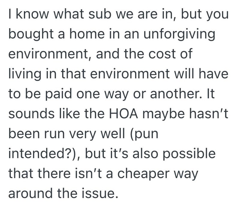 I know what sub we are in, but you bought a home in an unforgiving environment, and the cost of living in that environment will have to be paid one way or another. It sounds like the HOA maybe hasn't been run very well (pun intended?), but it's also possible that there isn't a cheaper way around the issue.