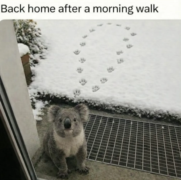 Back home after a morning walk