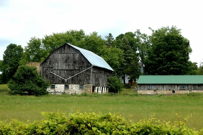 A remote island property, as with the one in the story.