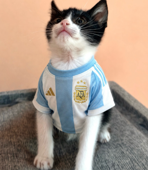 AFA