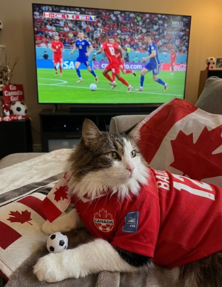 Go Canada Go 1-1-CAN 1-4 BL SA CANADA o.com BA FIFATI