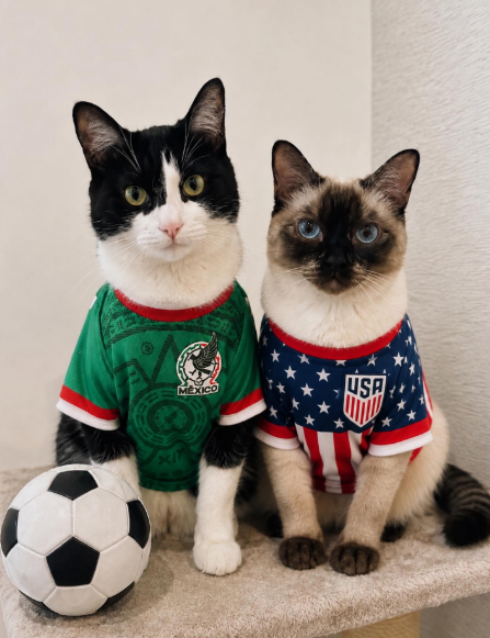 MEXICO