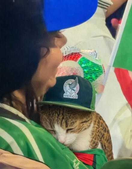 MEXICO