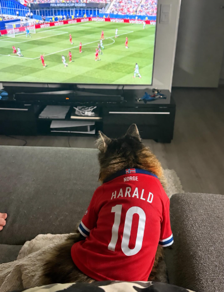 FIFA WORLD CUP 2020 NORGE HARALD 10