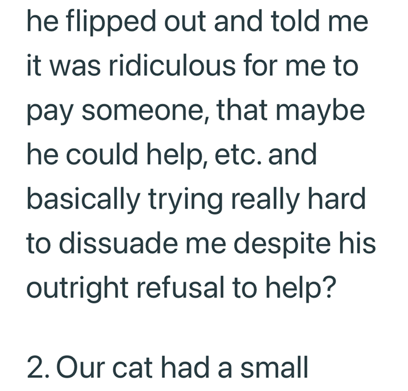 he flipped out and told me it was ridiculous for me to pay someone, that maybe he could help, etc. and basically trying really hard to dissuade me despite his outright refusal to help? 2. Our cat had a small