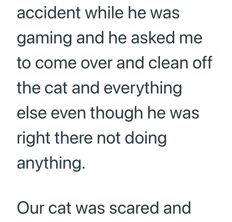 accident while he was gaming and he asked me to come over and clean off the cat and everything else even though he was right there not doing anything. Our cat was scared and