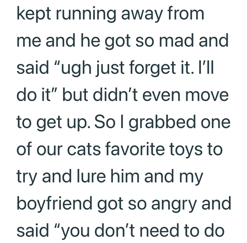 kept running away from me and he got so mad and said "ugh just forget it. I'll do it" but didn't even move to get up. So I grabbed one of our cats favorite toys to try and lure him and my boyfriend got so angry and said "you don't need to do
