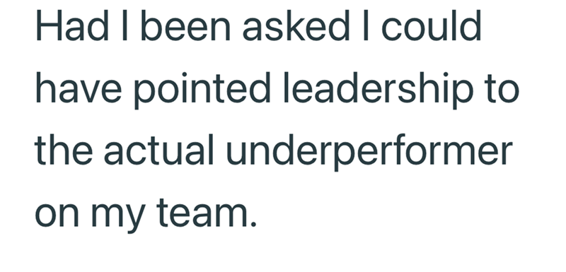 Had I been asked I could have pointed leadership to the actual underperformer on my team.