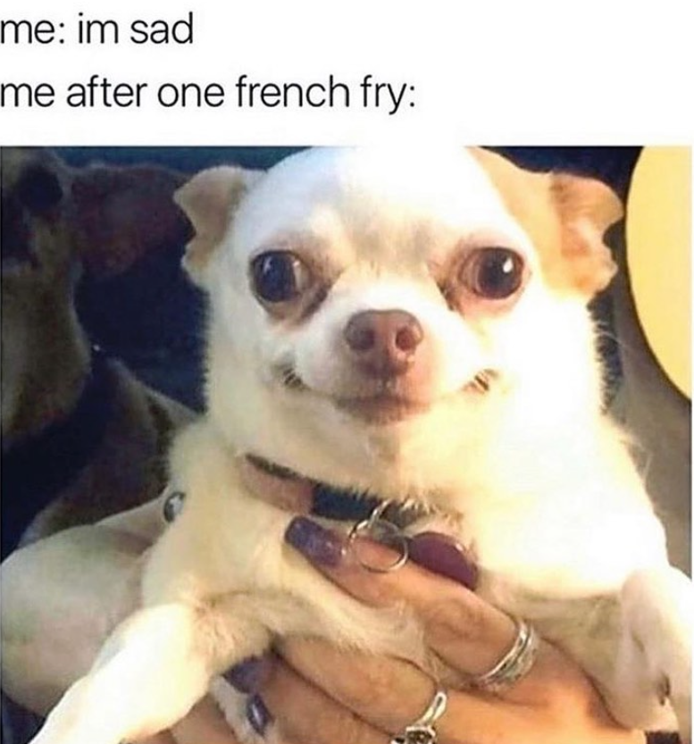 me: im sad me after one french fry: