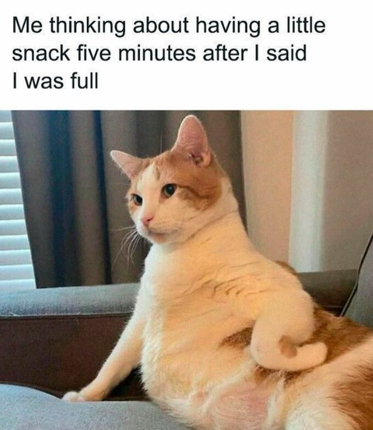 Me thinking about having a little snack five minutes after I said I was full
