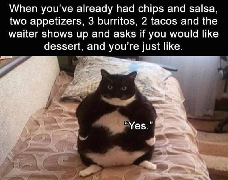 When you've already had chips and salsa, two appetizers, 3 burritos, 2 tacos and the waiter shows up and asks if you would like dessert, and you're just like. "Yes."
