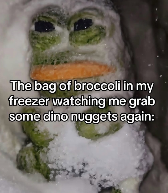 The bag of broccoli in my freezer watching me grab some dino nuggets again: