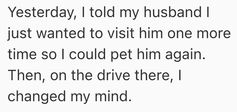 Yesterday, I told my husband I just wanted to visit him one more time so I could pet him again. Then, on the drive there, I changed my mind.