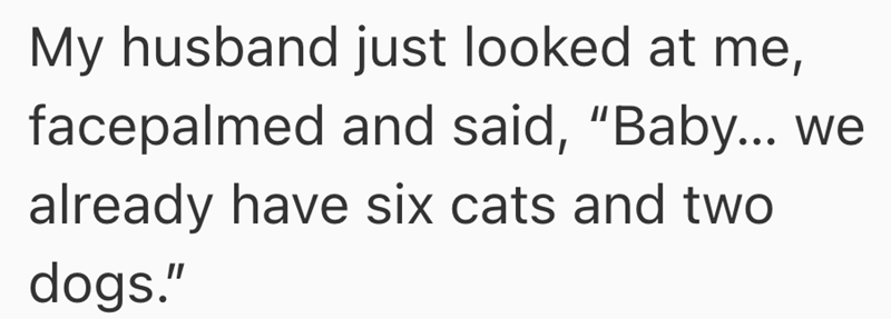 My husband just looked at me, facepalmed and said, "Baby... we already have six cats and two dogs."