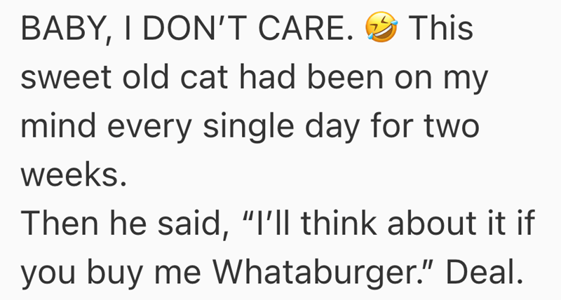 BABY, I DON'T CARE. This sweet old cat had been on my mind every single day for two weeks. Then he said, "I'll think about it if you buy me Whataburger." Deal.
