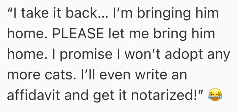 "I take it back... I'm bringing him home. PLEASE let me bring him home. I promise I won't adopt any more cats. I'll even write an affidavit and get it notarized!"