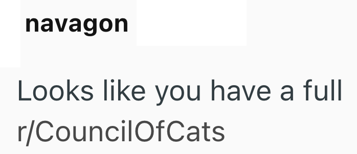 navagon Looks like you have a full r/Council OfCats