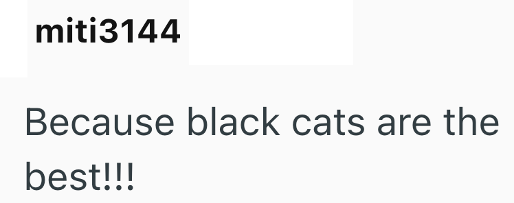 miti3144 Because black cats are the best!!!