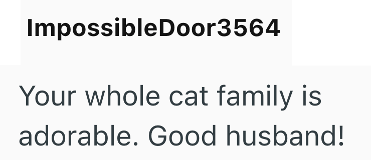 Impossible Door3564 Your whole cat family is adorable. Good husband!