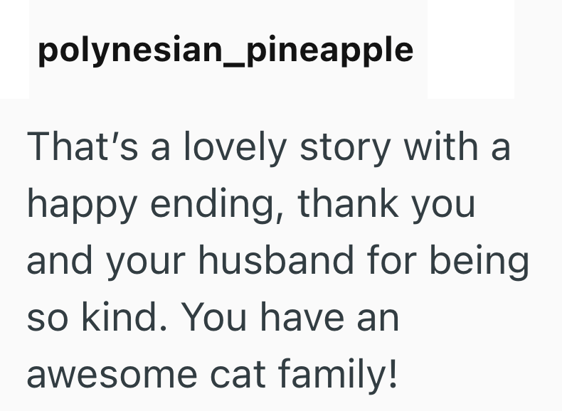 polynesian_pineapple That's a lovely story with a happy ending, thank you and your husband for being so kind. You have an awesome cat family!