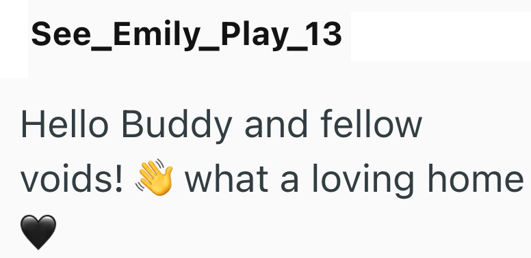 See_Emily_Play_13 Hello Buddy and fellow voids! what a loving home
