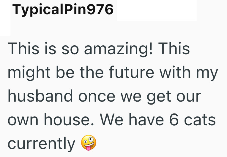 TypicalPin976 This is so amazing! This might be the future with my husband once we get our own house. We have 6 cats currently