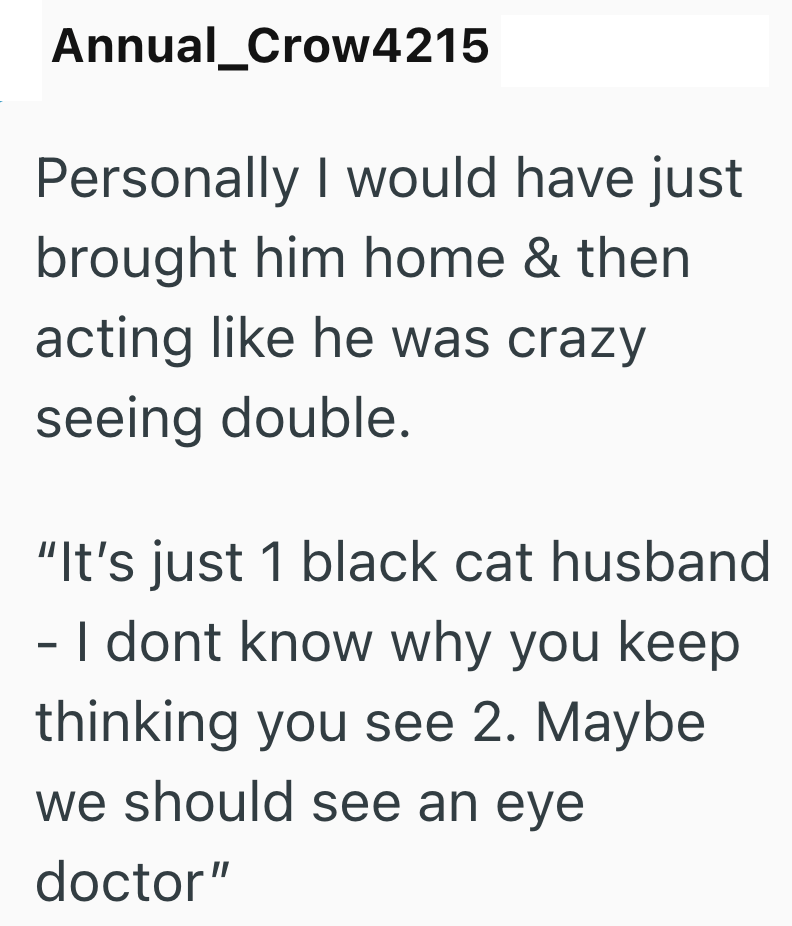 Annual_Crow4215 Personally I would have just brought him home & then acting like he was crazy seeing double. "It's just 1 black cat husband - I dont know why you keep thinking you see 2. Maybe we should see an eye doctor"