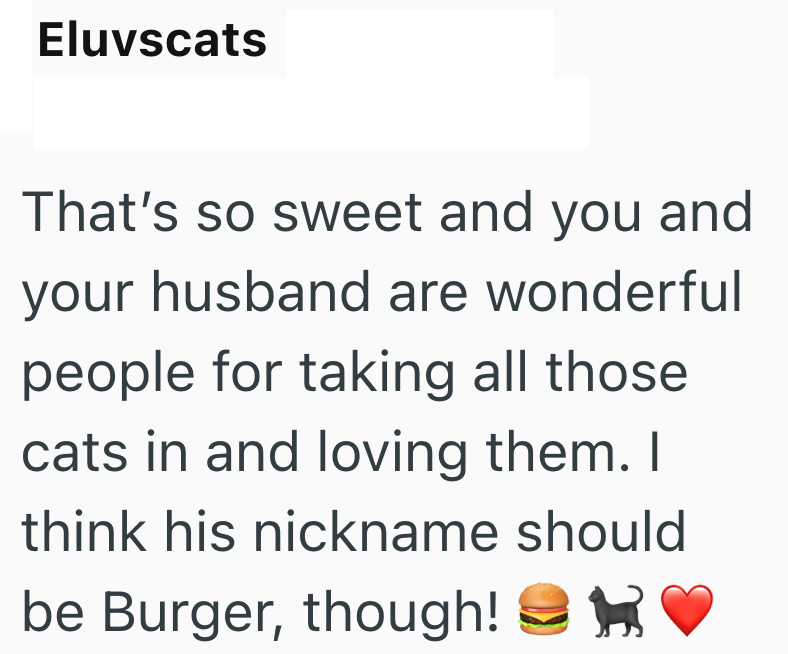 Eluvscats That's so sweet and you and your husband are wonderful people for taking all those cats in and loving them. I think his nickname should be Burger, though!