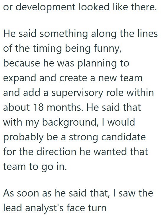 or development looked like there. He said something along the lines of the timing being funny, because he was planning to expand and create a new team and add a supervisory role within about 18 months. He said that with my background, I would probably be a strong candidate for the direction he wanted that team to go in. As soon as he said that, I saw the lead analyst's face turn