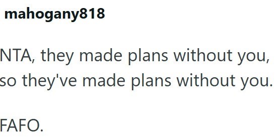 mahogany818 NTA, they made plans without you, so they've made plans without you. FAFO.