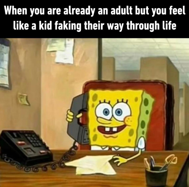 When you are already an adult but you feel like a kid faking their way through life