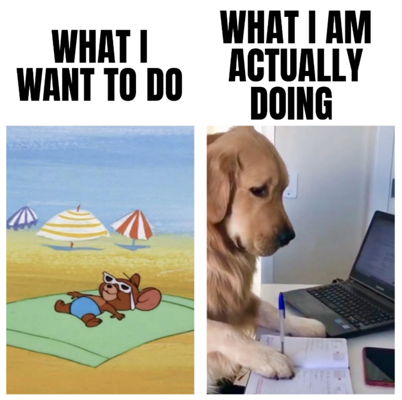WHAT I WANT TO DO WHAT I AM ACTUALLY DOING
