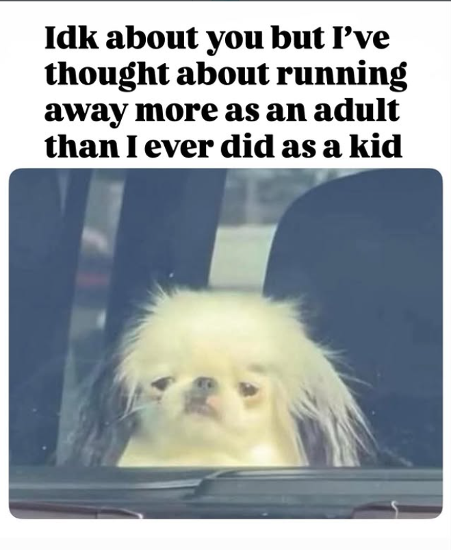 Idk about you but I've thought about running away more as an adult than I ever did as a kid