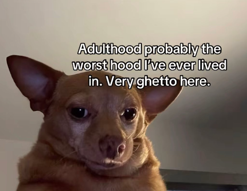 Adulthood probably the worst hood I've ever lived in. Very ghetto here.