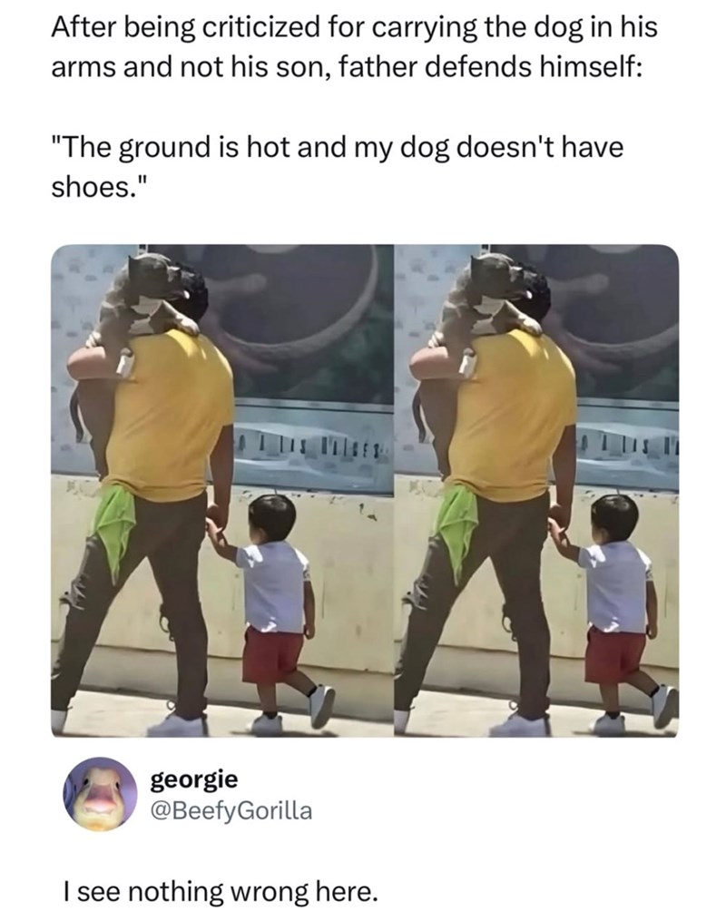 After being criticized for carrying the dog in his arms and not his son, father defends himself: "The ground is hot and my dog doesn't have shoes." georgie @BeefyGorilla I see nothing wrong here.