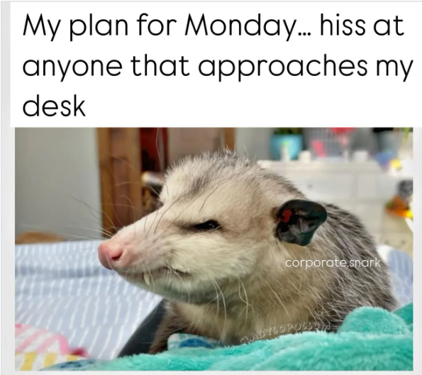 My plan for Monday... hiss at anyone that approaches my desk corporate snark GLADYLOPOSSU