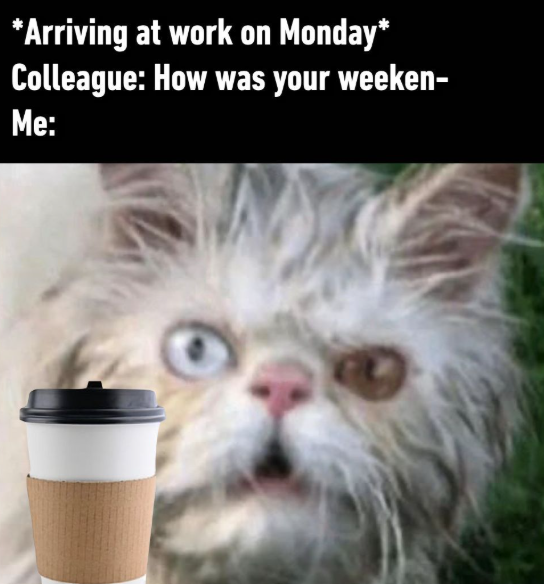 *Arriving at work on Monday* Colleague: How was your weeken- Me: