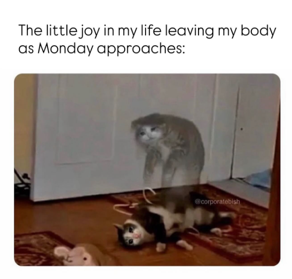 The little joy in my life leaving my body as Monday approaches: @corporatebish RE