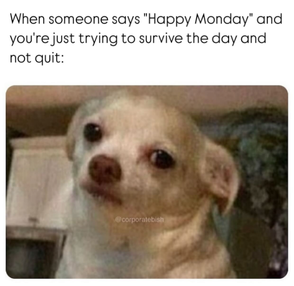 When someone says "Happy Monday" and you're just trying to survive the day and not quit: @corporatebish