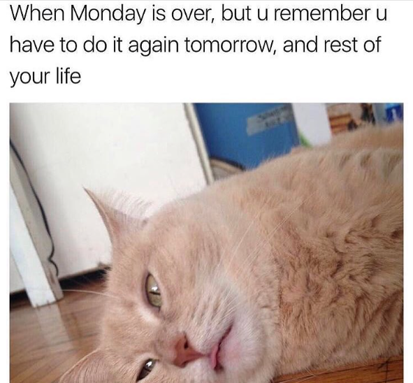 When Monday is over, but u remember u have to do it again tomorrow, and rest of your life