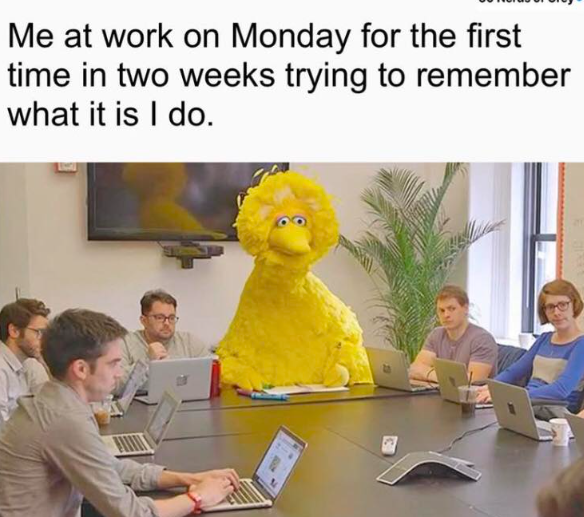 Me at work on Monday for the first time in two weeks trying to remember what it is I do.