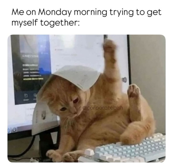 Me on Monday morning trying to get myself together: LIMITING @corporatebish