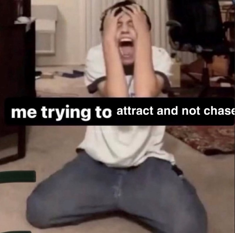 me trying to attract and not chase