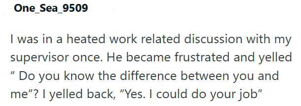 One_Sea_9509 I was in a heated work related discussion with my supervisor once. He became frustrated and yelled "Do you know the difference between you and me"? I yelled back, "Yes. I could do your job"