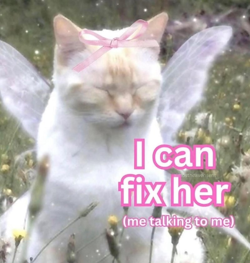 I can fix her almostheavensent (me talking to me)