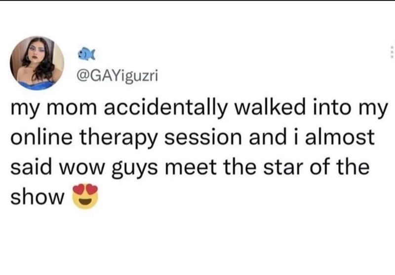 @GAYiguzri my mom accidentally walked into my online therapy session and i almost said wow guys meet the star of the show