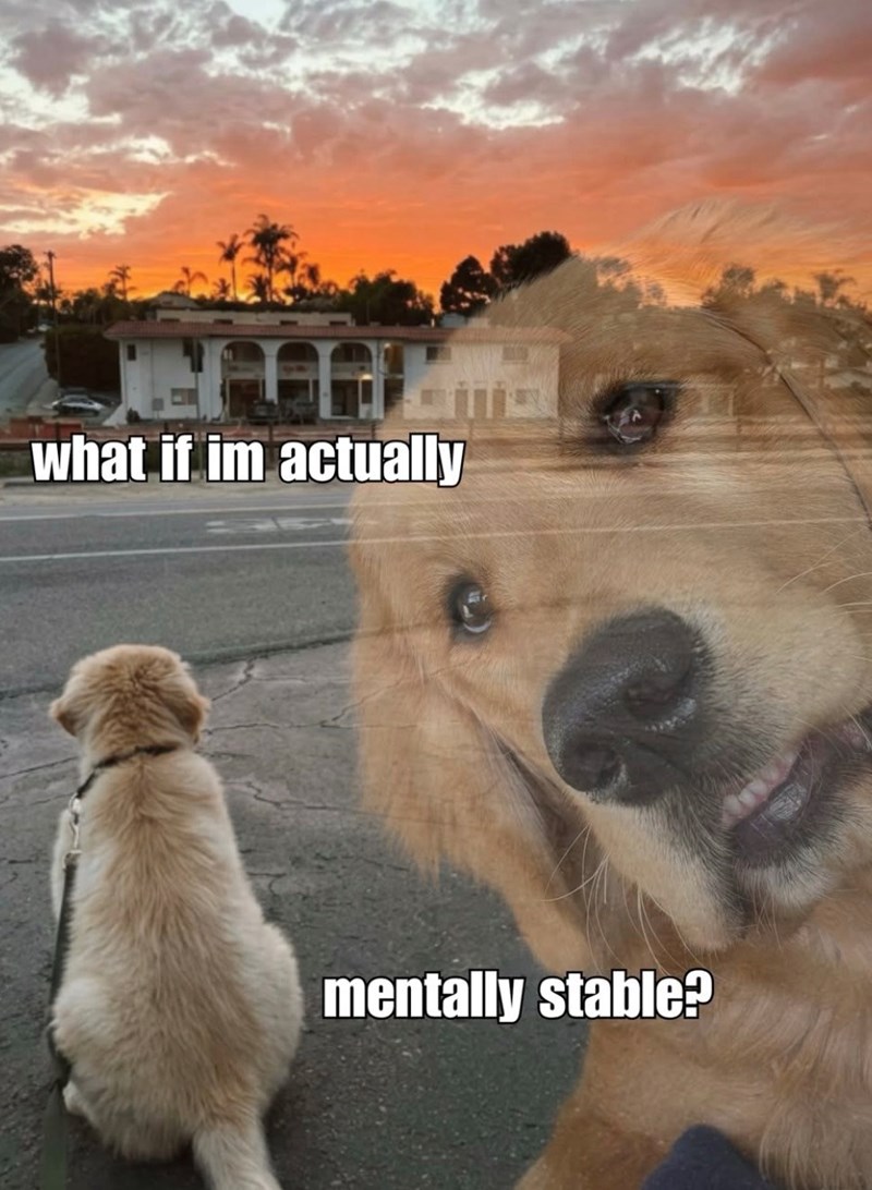 what if im actually mentally stable?