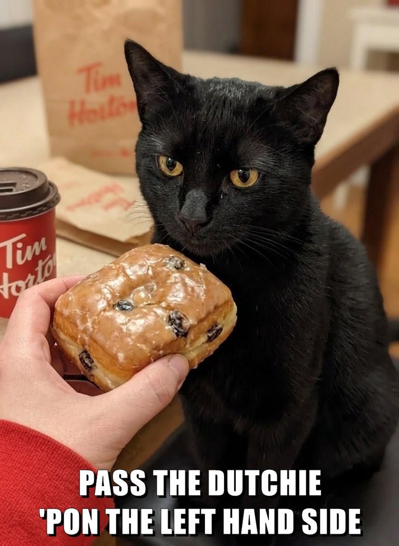 Cheezburger Image 10648717312